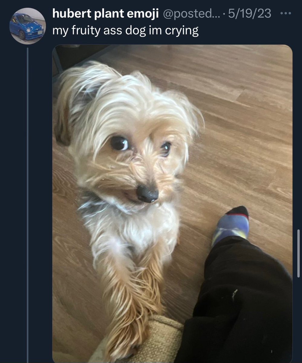 star 💫 (@stxrinsky) on Twitter photo 