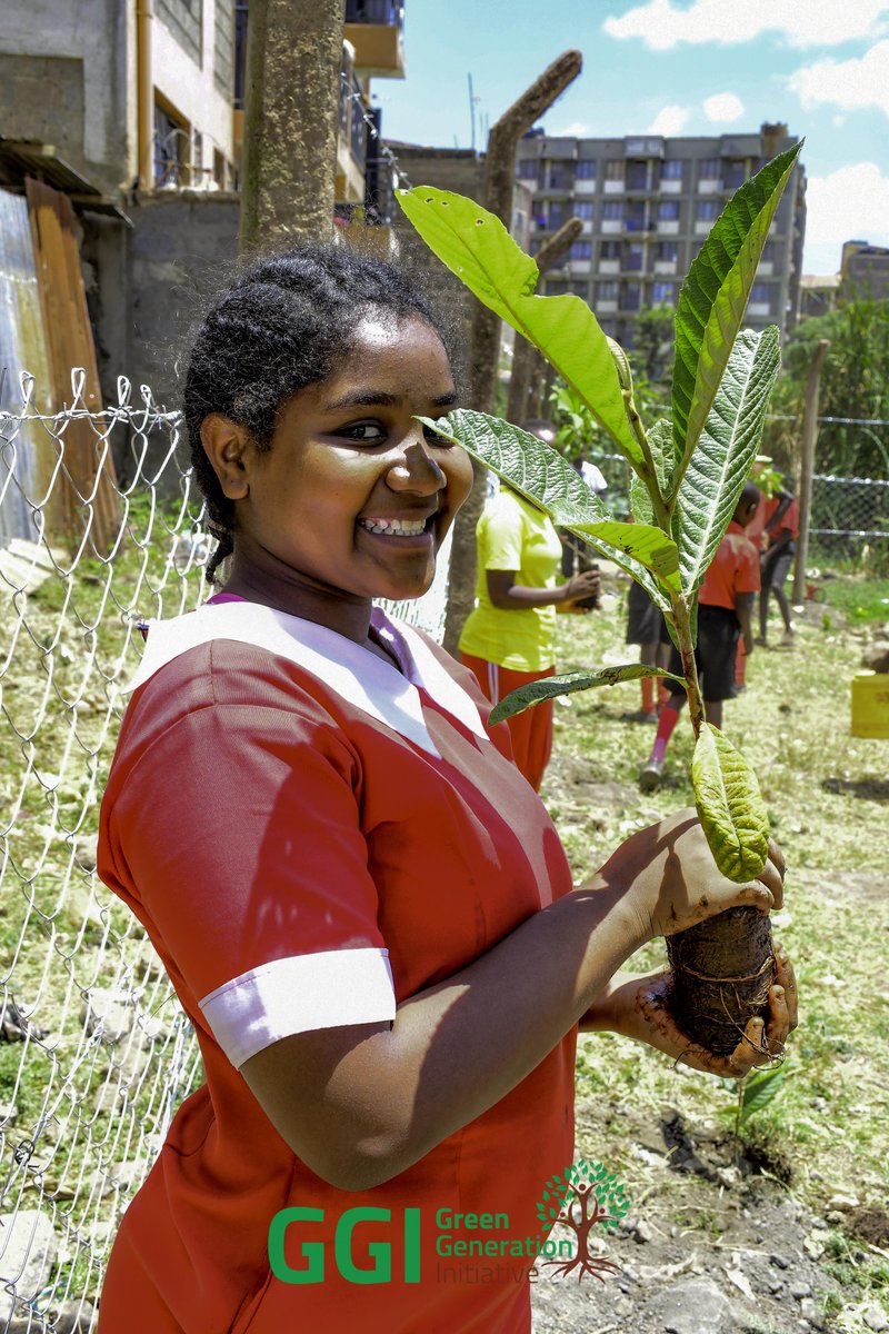 Green Generation Initiative (GGI) tweet media