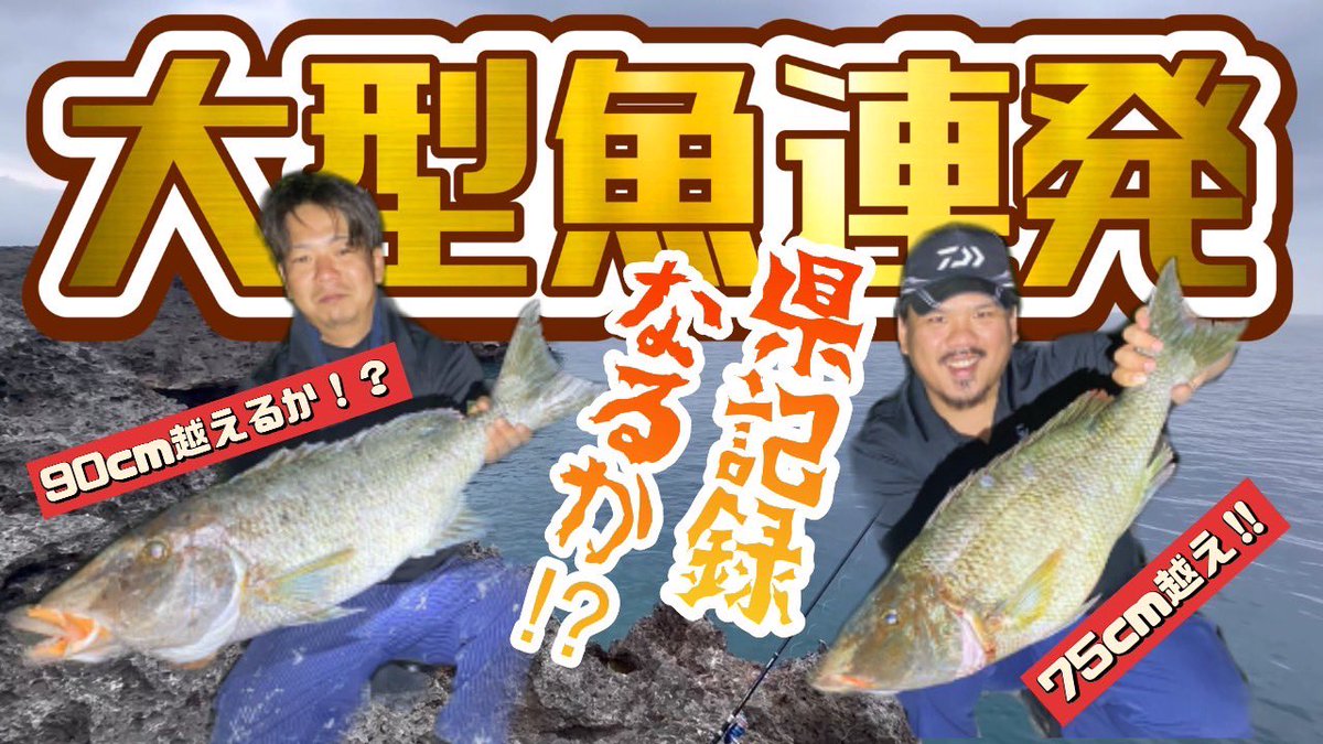 gyouankai's tweet photo. 宮古島通り池で2人が
良型のウムナガーを
釣り上げてます！
2人のやりとりシーンを
是非ご覧ください🥳

https://t.co/mVCUTKwEEY https://t.co/EsJkO4hqkG