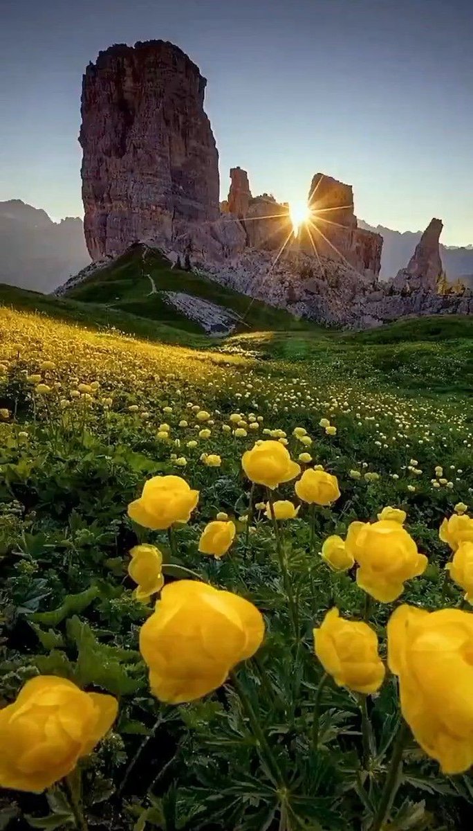 LukaBacchelli's tweet photo. Ciao! Buona giornata. Sono di nuovo qui. 👋😘 https://t.co/AXk9egN02M