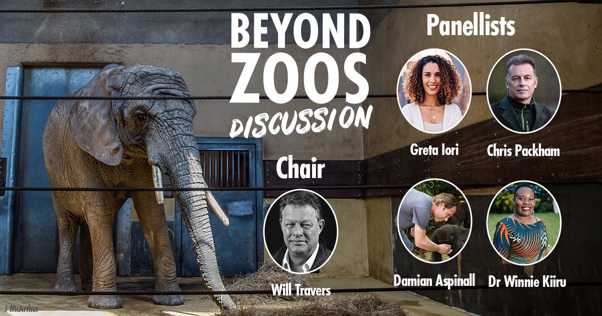 Come along to our Beyond Zoos event 🙌 Don't miss as our expert panel, Chaired by @willtravers discusses what a future 'beyond zoos' could look like.   Where: @RGS_IBG / Online When: Wed 29 Nov 7.15pm Price: £22 / £12 students / £10 live stream More 👇 bornfree.org.uk/events/beyond-…