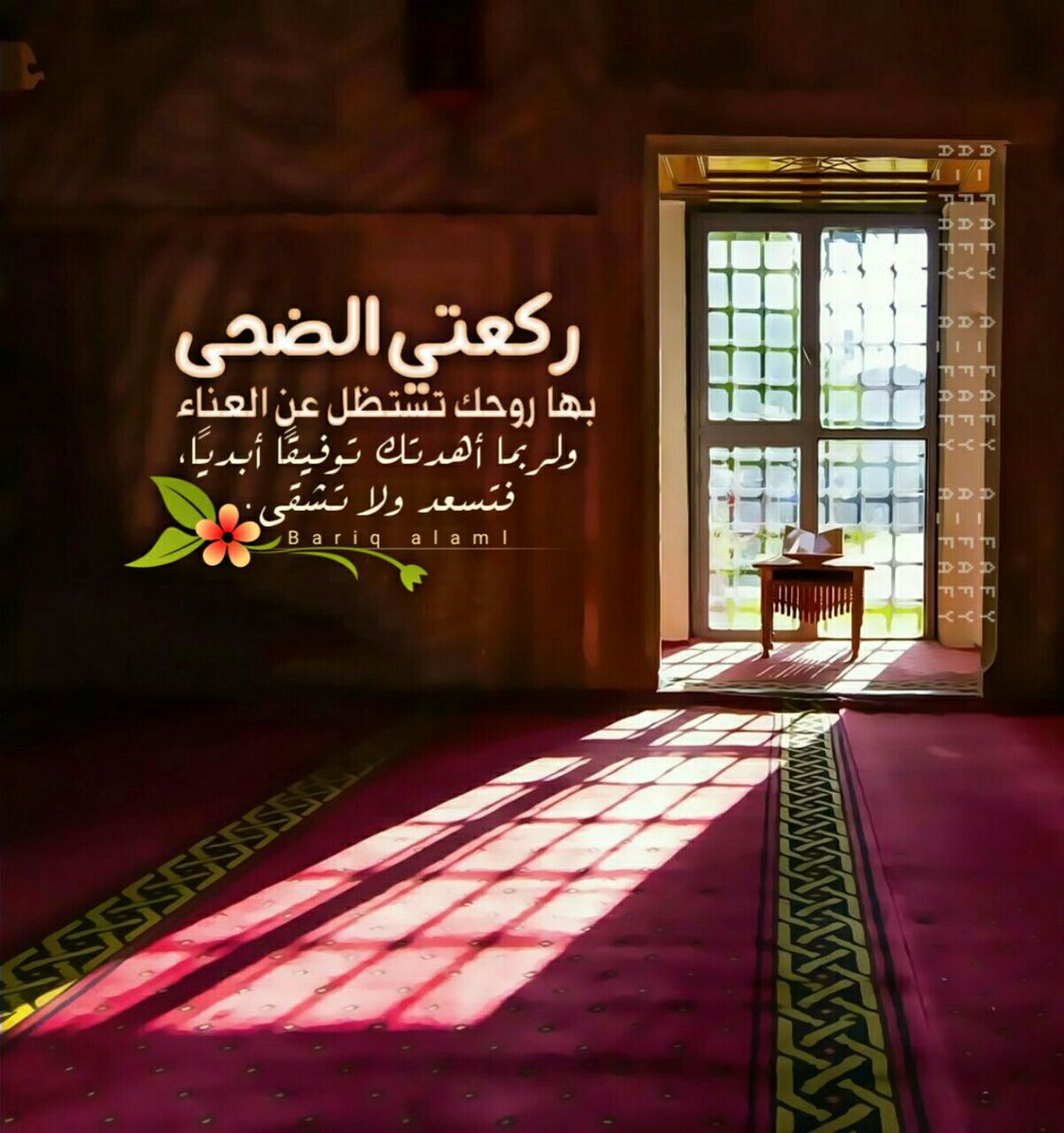 rFMidJBRvs6XlrX's tweet photo. ركعتي الضحى ؛ يسيرة العمل  
  عظيمة الفضل
  يكفيك أنها صدقة عن سائر مفاصلك  
  الضحى : صلاة الاوابين... https://t.co/VCOYkPn5gp