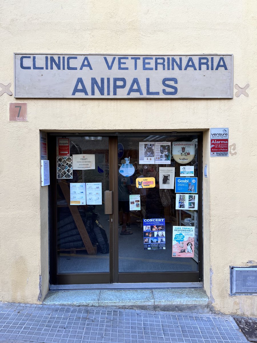 Xavier Cantons tweet media