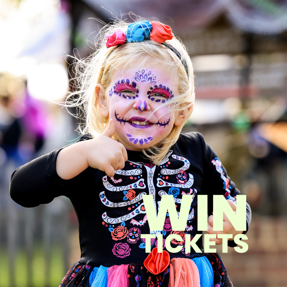 Bocketts Farm Park tweet media