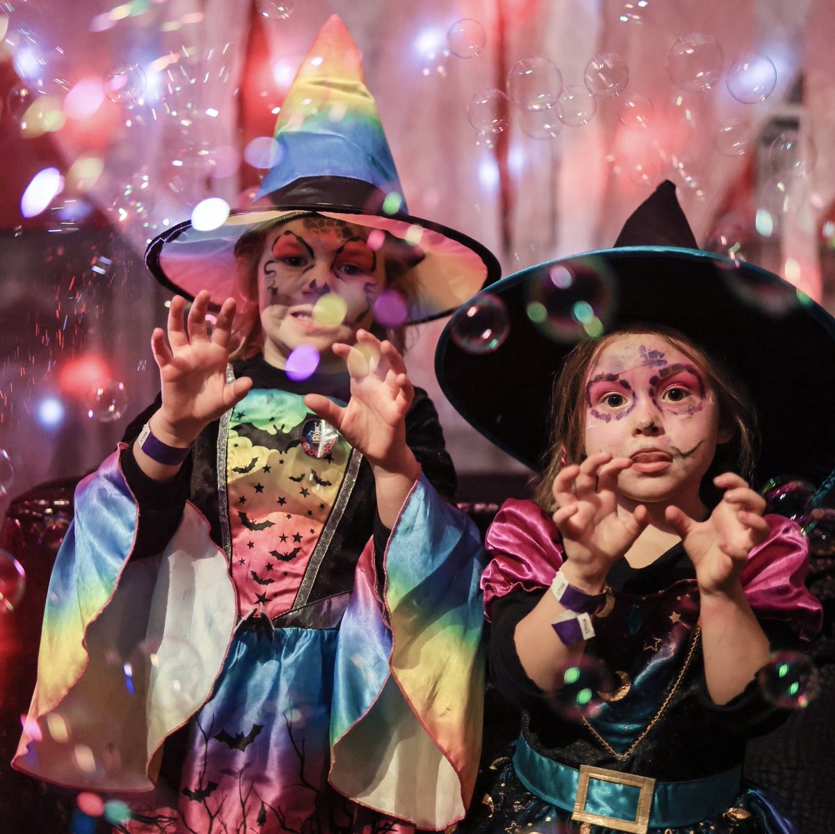 Bocketts Farm Park tweet media