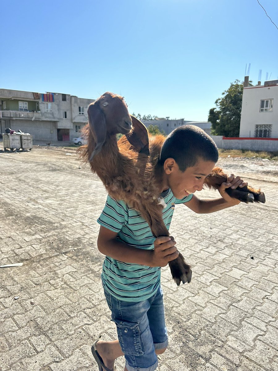 yilmazceo's tweet photo. Günaydınnn güne pozitif başladık bakalım 💙😅 https://t.co/LMreJoEEvw