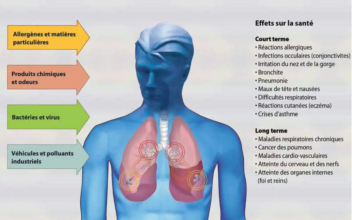 🫁Journée mondiale de la qualité de l'air 
Le groupe Pappei de la <a href="/SPLF_SocPneumo/">Société de Pneumologie de Langue Française (SPLF)</a>  vous informe sur l'impact de la pollution atmosphérique  sur la santé respiratoire
👉splf.fr/actualites-pap…
<a href="/ajpo2/">AJPO2 - Jeunes Pneumologues</a> <a href="/PneumoCphg/">cphg</a>  <a href="/RespiFIL/">FSMR - RespiFIL 🫁</a>  <a href="/respirsante/">Association Santé Respiratoire France</a> <a href="/LucileSese/">Lucile SESE</a> <a href="/leQdM/">Le Quotidien du Médecin</a> <a href="/LuuLyAPM/">Luu-Ly Do-Quang</a>