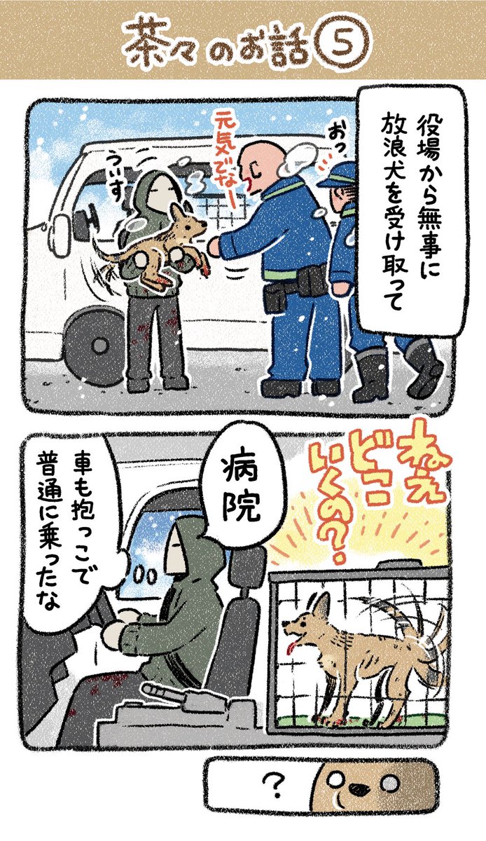 保護犬茶々のお話【第5話】 #漫画が読めるハッシュタグ #コミックエッセイ