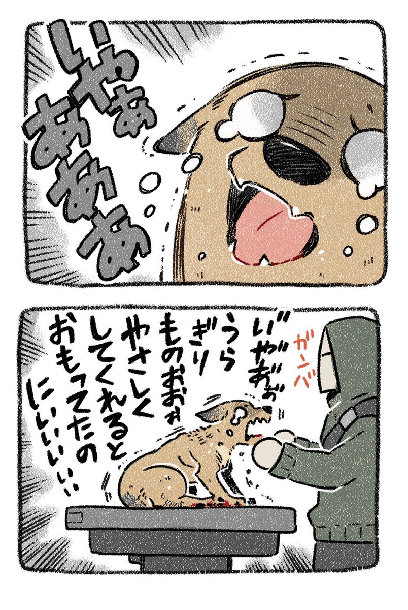 保護犬茶々のお話【第5話】 #漫画が読めるハッシュタグ #コミックエッセイ