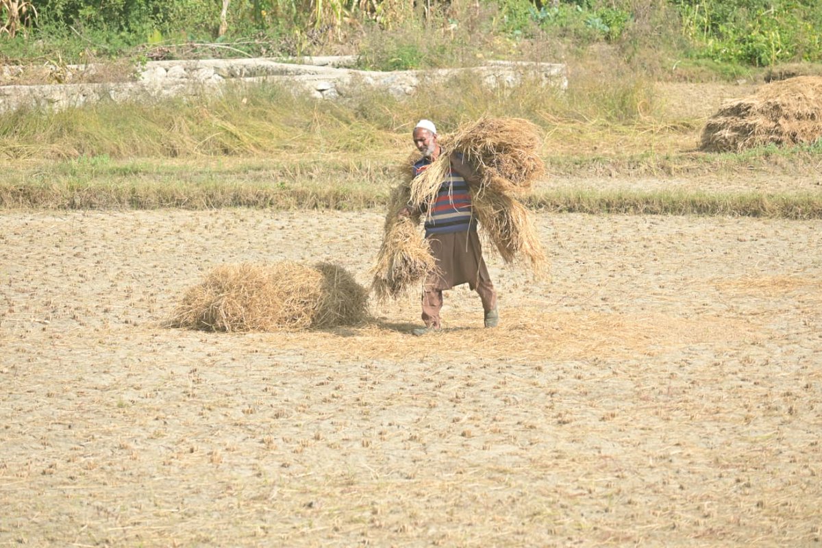 Heroofkashmir's tweet photo. Farmers are the true stewards of our planet, nurturing the land that sustains us all. 🌾📷 #Farmers #EarthStewards #SustainableAgriculture #Chatussa #Kashmir https://t.co/hr0DKUC05n