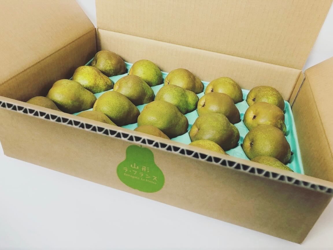 bonsoiramandine's tweet photo. 【是非拡散で農家が助かります】
生産量日本一の山形県ラ・フランス🍐
今回私達は家族みんなで3日間のラ・フランス収穫のボランティアを「おとらふ」という農家でしました💪
実は、収穫を目前にしたラ・フランスが強風で4トン以上落果してしまいました。こんなに落ちたのは30年ぶりみたいです…😢
　どうにか私たちは役に立てないか、おとらふさんの力になりたいと思いました。
落果したラ・フランスをすぐ拾い上げ、状態の良い物だけをギフト同様に予冷管理してるみたいです。

【そこで、ご支援いただける皆様へ】
　ギフトと同様に予冷・追熟管理を行います。通常のラ・フランスと見た目も味も変わらないような状態のみをお届けしますのでご安心ください。
　この機会に「ラ・フランスを食べてみよう！」と思う方やラ・フランスを贅沢に使ってお菓子づくりがしたい方は是非チェックしてね！✨🙇‍♀️
　皆さまの応援を心よりお待ちしております！
※購入した物全て農家さんへの支援となります

ご購入はこちらから！↓

暴風被害を受けた【ラ・フランス  家庭用5kg】
10月26日から順次発送
◉HPからネット注文
→ https://t.co/PtSe1gmVOq
◉楽天から注文（送料込み）
→ https://t.co/jZLED3Sahq

通常【ラ・フランス　ギフト商品、家庭用商品など】
11月10日から順次発送
◉HPからのネット注文
→ https://t.co/EuaMMaysCw
◉楽天から注文（送料込み）
→ https://t.co/16M98IO8qV