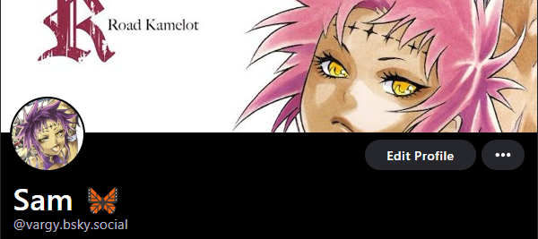 Sam 🐎 tweet media