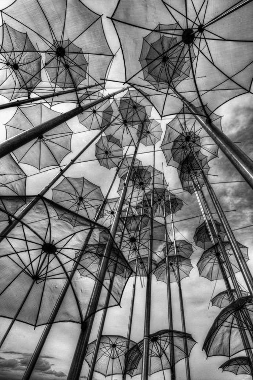 Pierre Botte tweet media