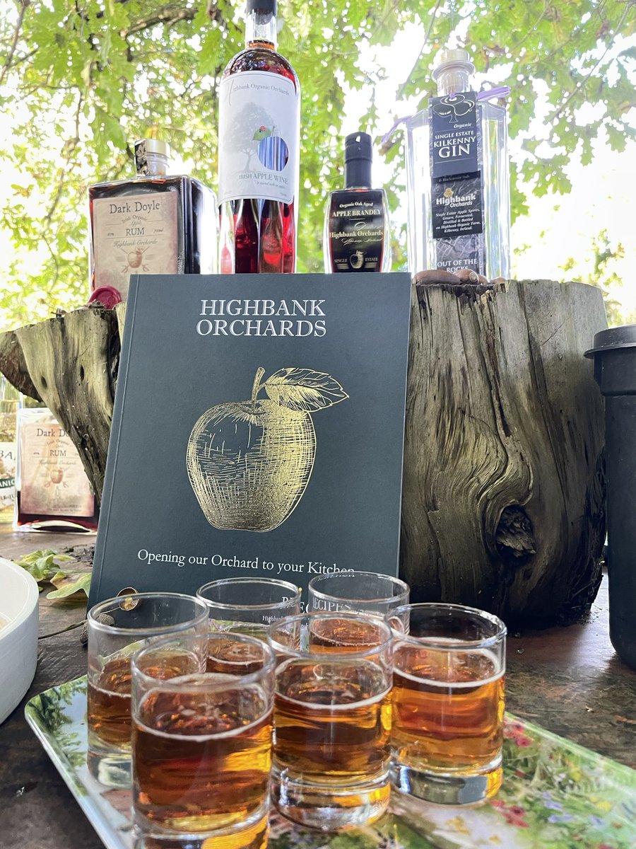 Zwartbles Ireland • Suzanna Crampton tweet media