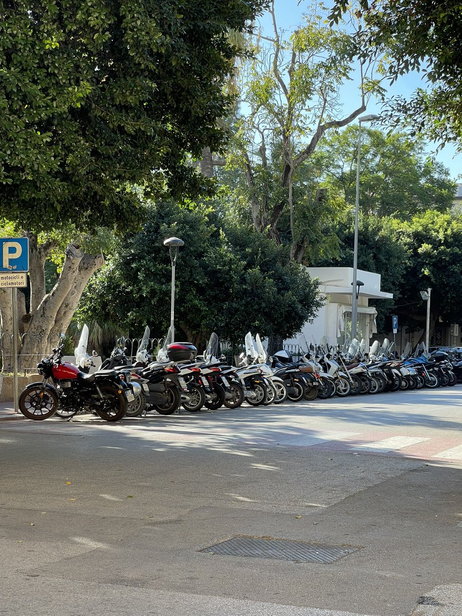 Maja 🏍 tweet media