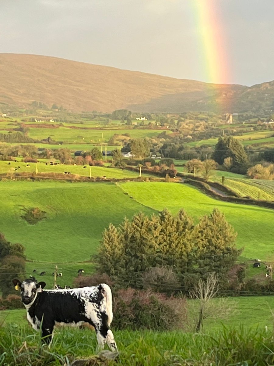 droimeann's tweet image. “The splendour falls on castle walls”… Alfred L Tennyson.  View of Castle Donovan, Co.Cork. @Podpairc #Droimeann #Irishculturalheritage @HeritageHubIRE