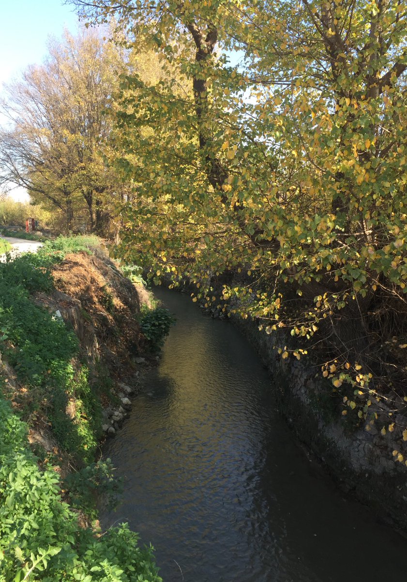 🍋🧵RUTA ALJUFIA🧵

1️⃣ 10km por la milenaria Acequia Mayor que dio forma a #Murcia. desde su nacimiento en la #Contraparada hasta la entrada en #Murcia.

Un paseo por la historia donde 👀 molinos, norias, acequias, paisajes, ermitas, casas torre, monumentos, puentes… 

¿Vamos?👇🏻