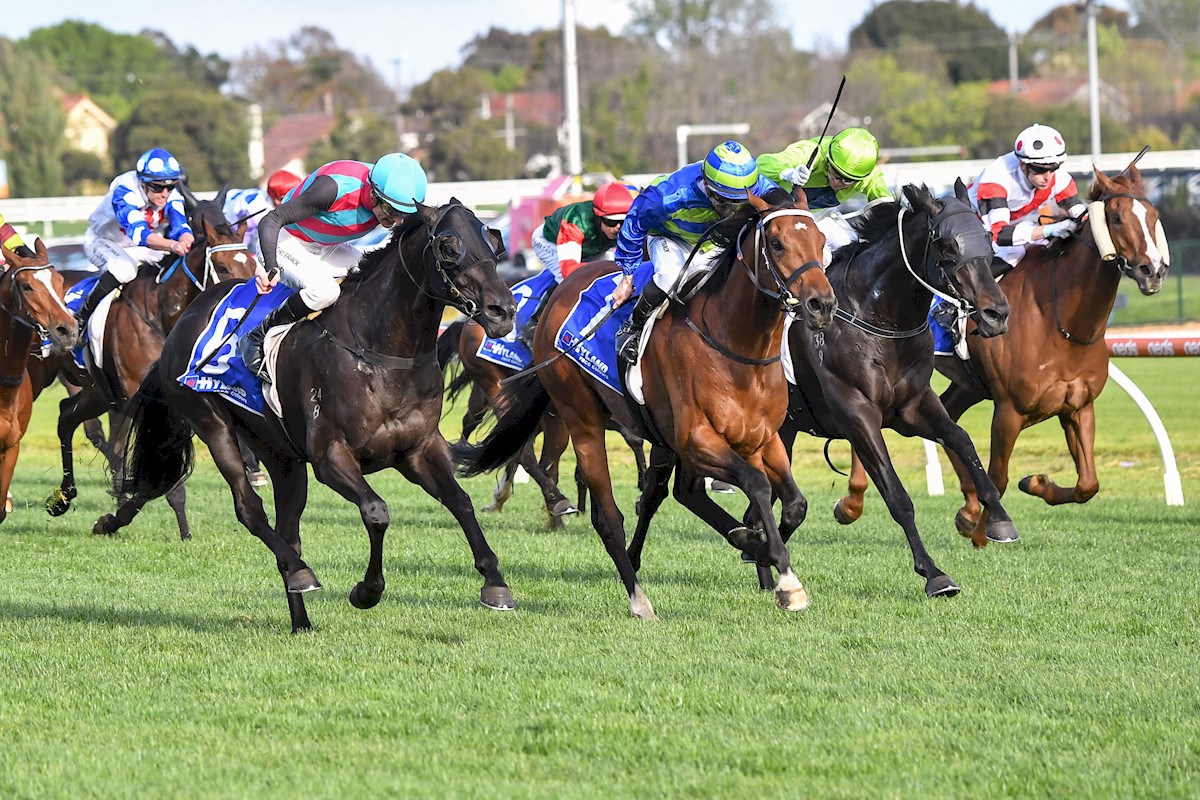 millparkstud's tweet photo. We had 10 #MillParkRaised graduates in stakes or feature races today, 7 finished in the top 4!

Attrition – 1st, G1
Arctic Glamour – 1st, Listed 
Air Assault – 1st, Listed
Rose Quartz – 2nd, G3 
Foxy Frida – 3rd, G3 
Think Tank – 4th, Listed 
Benedetta – 4th, $1m Silver Eagle https://t.co/kB8Z9YirYj
