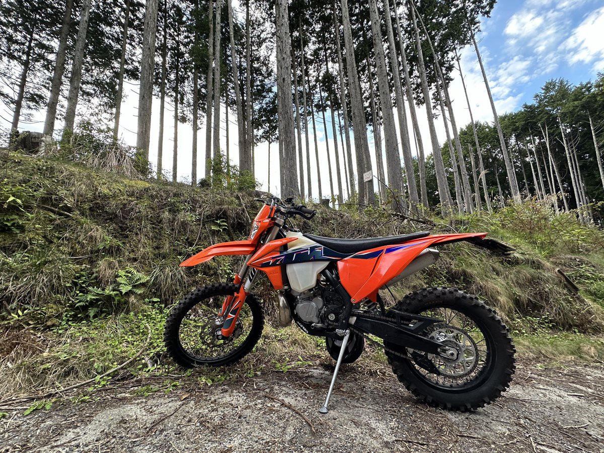 ちょうど良い林道だった☺️