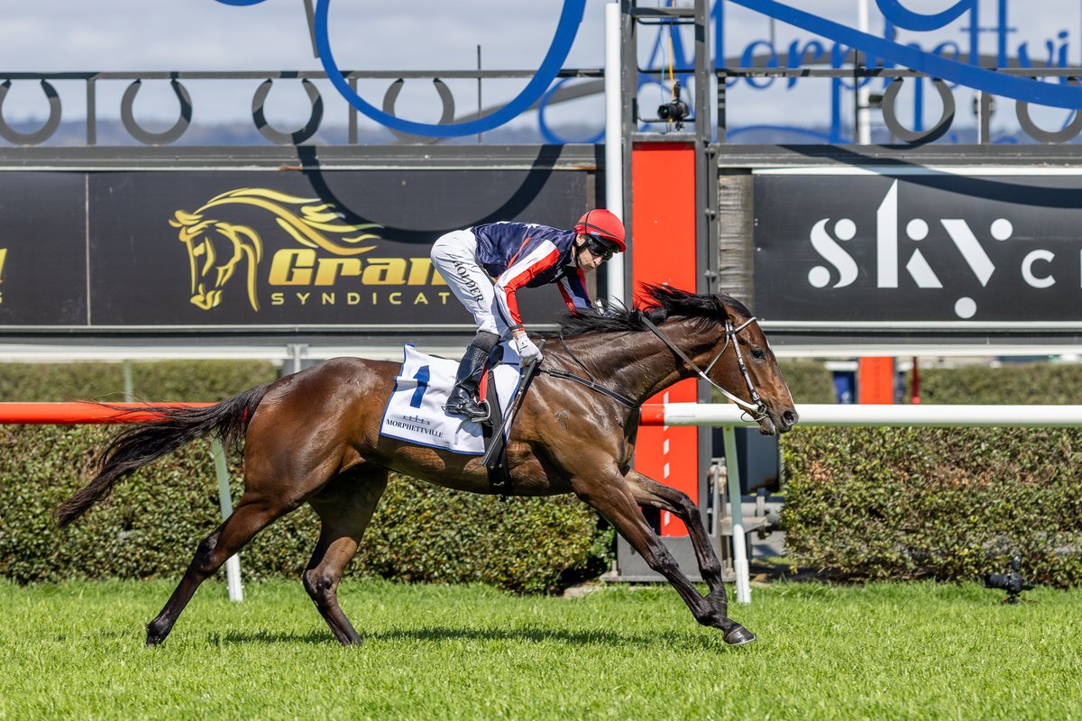 millparkstud's tweet photo. We had 10 #MillParkRaised graduates in stakes or feature races today, 7 finished in the top 4!

Attrition – 1st, G1
Arctic Glamour – 1st, Listed 
Air Assault – 1st, Listed
Rose Quartz – 2nd, G3 
Foxy Frida – 3rd, G3 
Think Tank – 4th, Listed 
Benedetta – 4th, $1m Silver Eagle https://t.co/kB8Z9YirYj