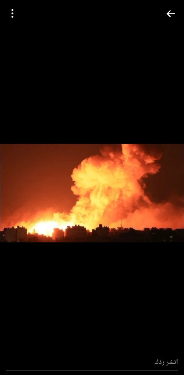 AnimalFriendsSh's tweet photo. I reassure everyone that I will not abandon my cats and move south, but I will remain with them to take care of them. Either we will survive together, or our fate will be death. please pray to God to save us from this violent war. https://t.co/K1osli54s0