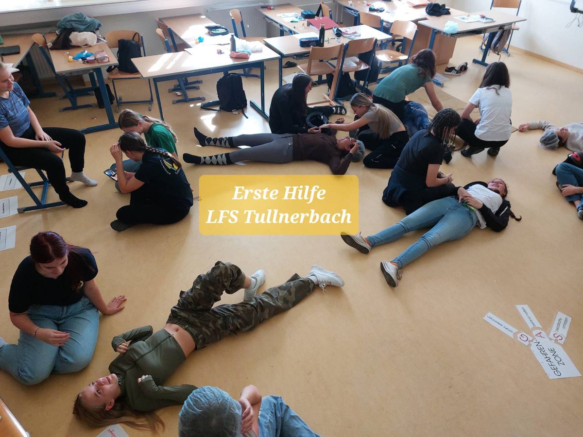Pferdeschule's tweet photo. https://t.co/PehnaUXwVE
