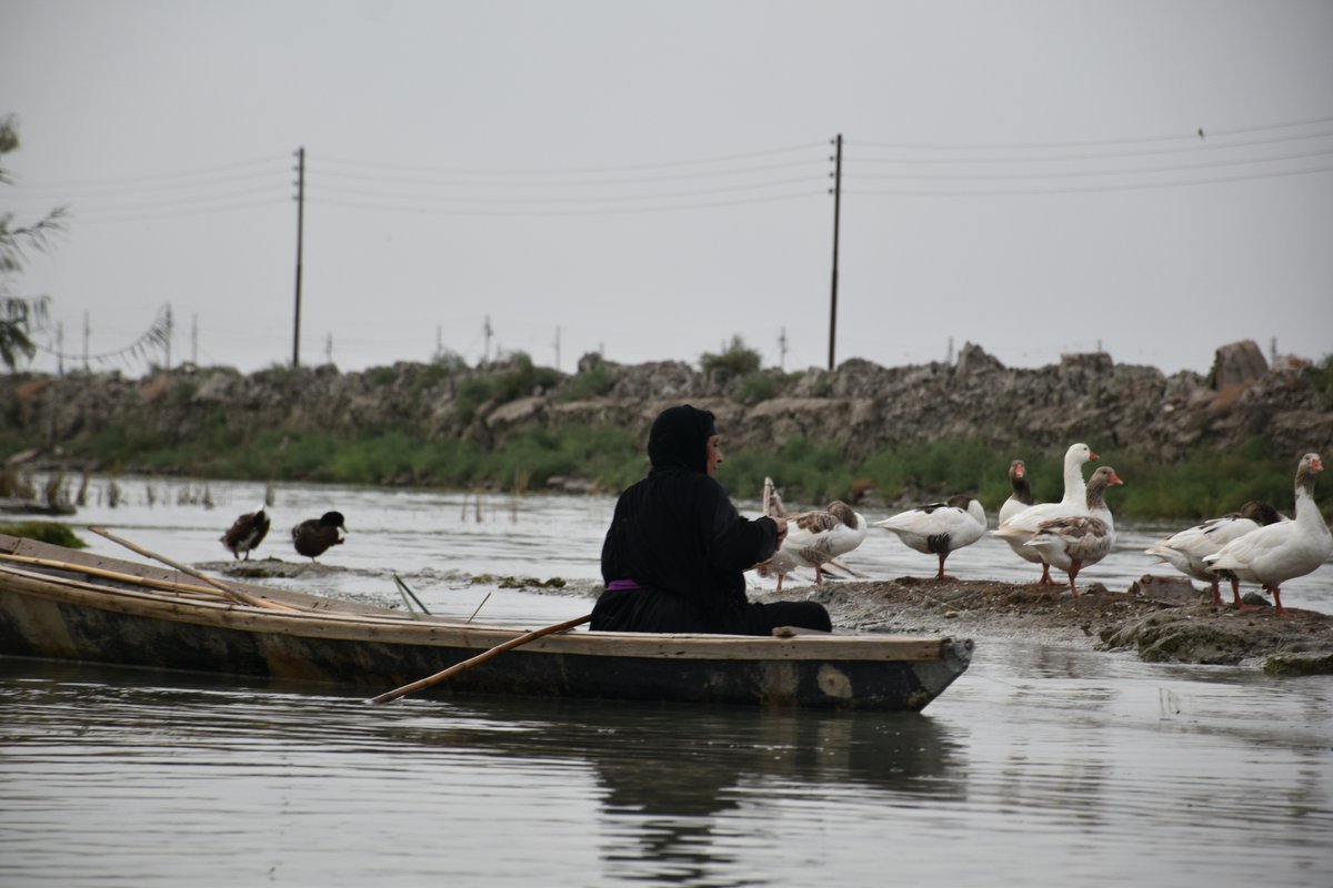 Omid Hatami tweet media