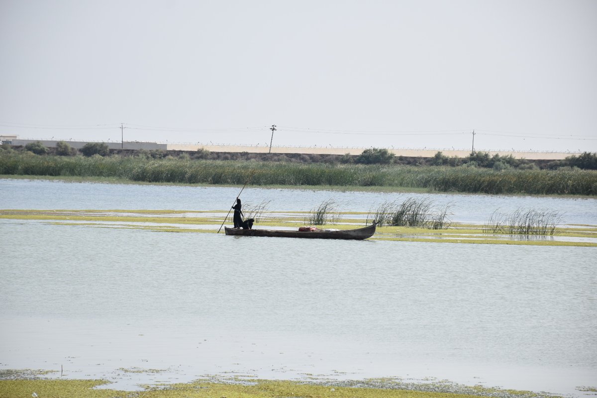 Omid Hatami tweet media