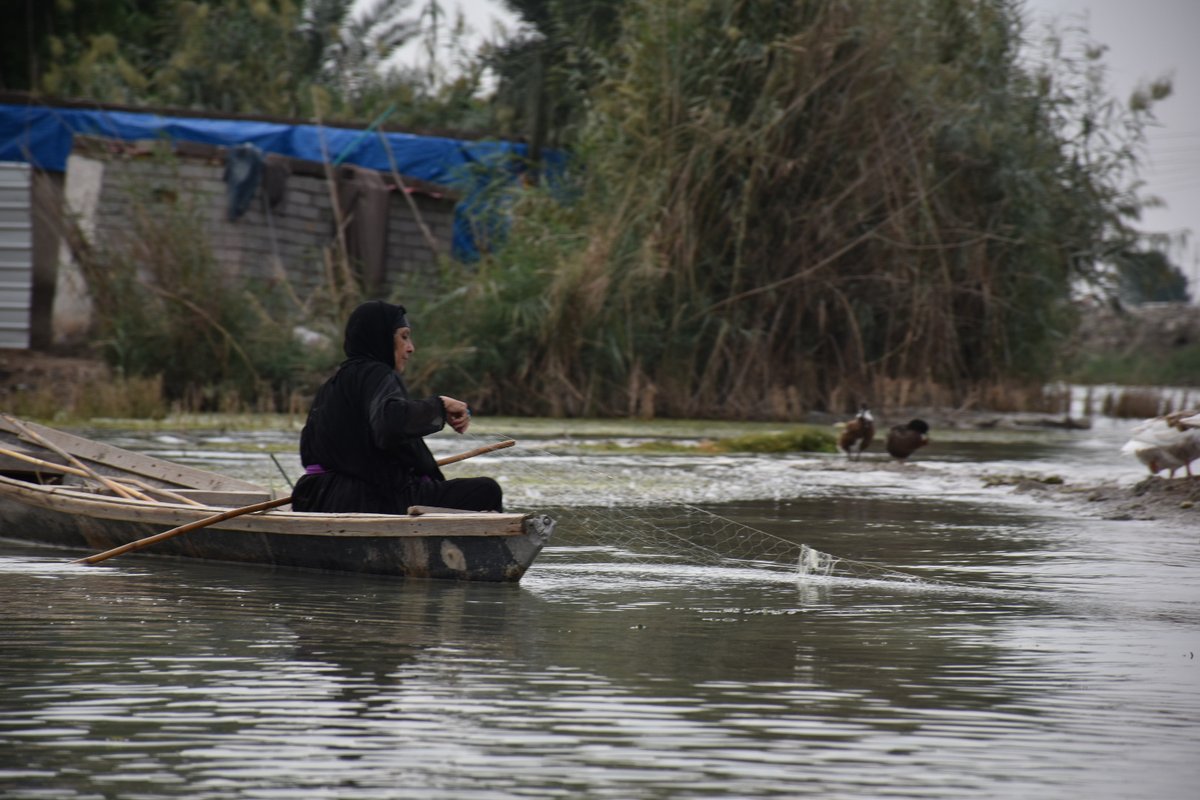 Omid Hatami tweet media