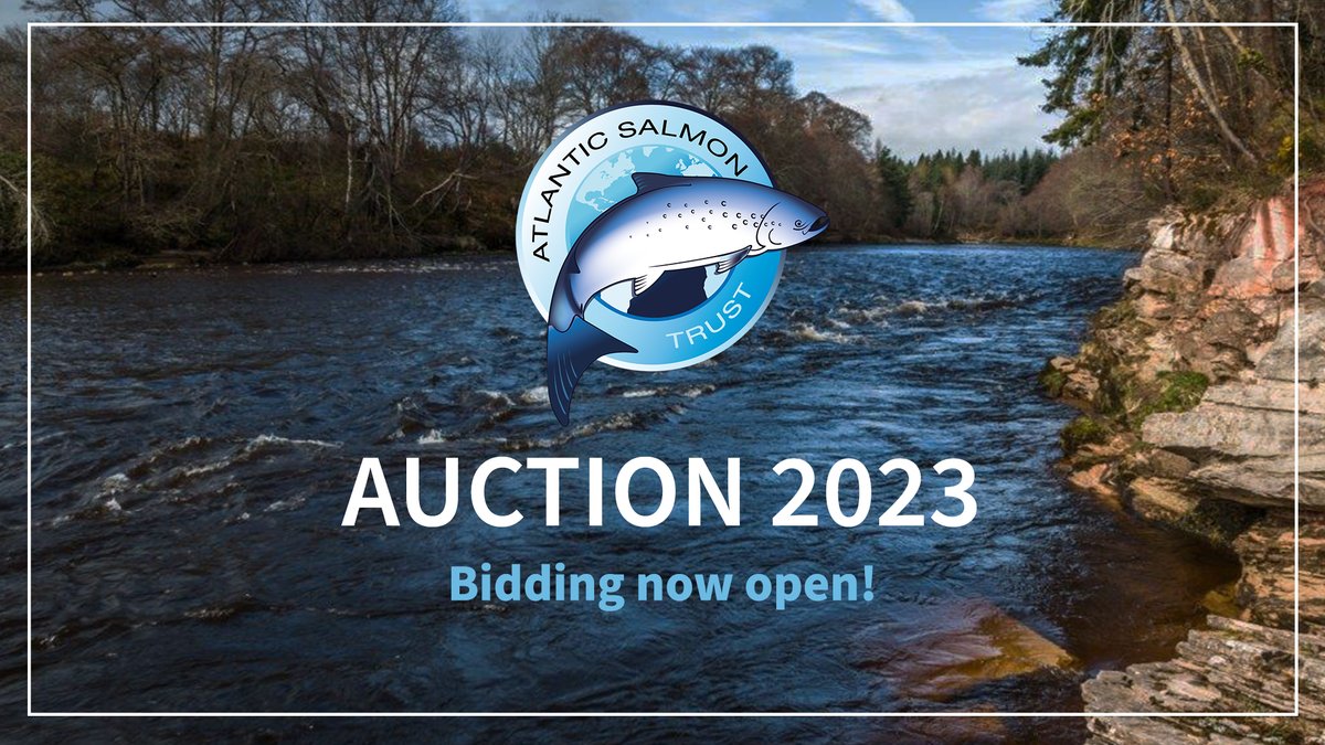 AST_Salmon's tweet photo. 🎉 2023 AUCTION IS LIVE! 🎉

Visit https://t.co/nOhdQBYbkk to bid on 101 fabulous lots, with each bid helping to support our work to restore wild Atlantic salmon and their environment.

With your support we can continue to turn science into action and put #wildsalmonfirst https://t.co/CAKB2bqId0