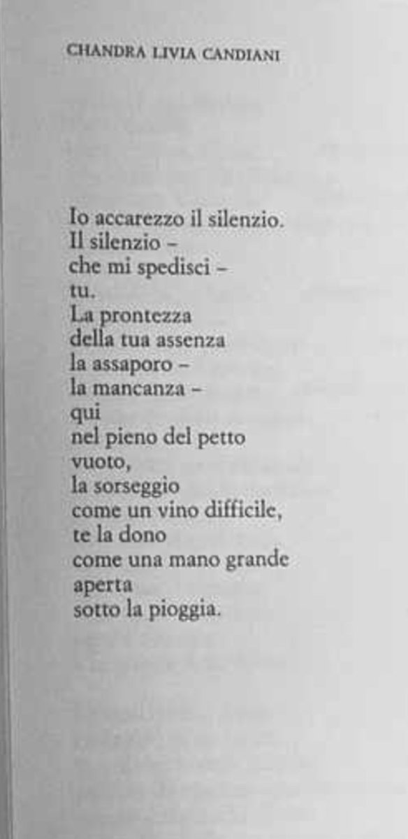 GianfrancoCat's tweet image. #silenzio #penso #cerco