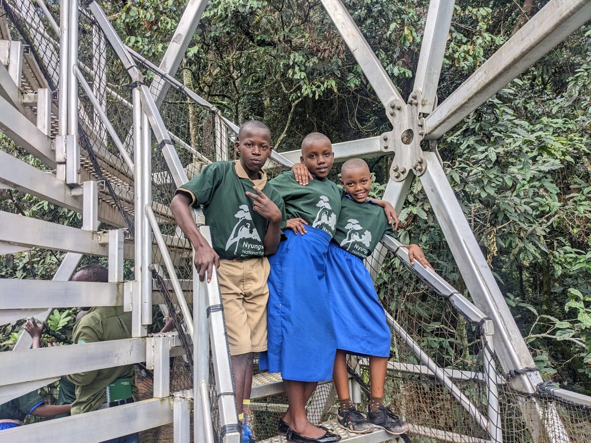 Nyungwe National Park tweet media