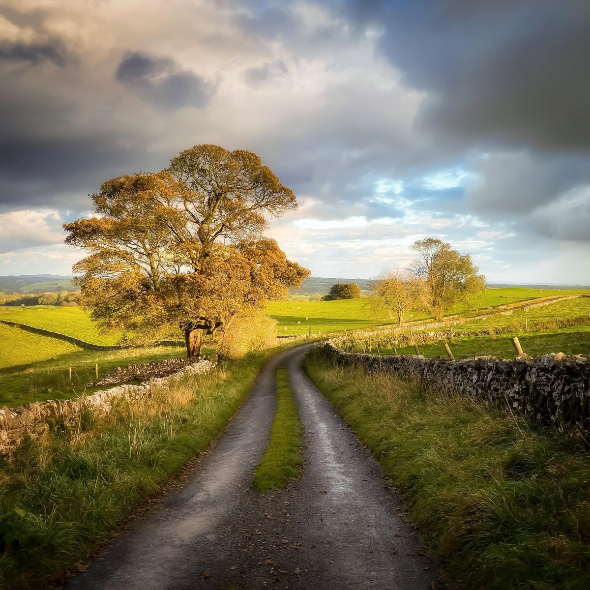 As a kid I felt a shiver of excitement when my dad drove down a lane with grass in the middle, like we were on an adventure, a journey to a place where few other people travelled, on a road so narrow we had to breathe in to fit down. In truth, I still get that little thrill now.