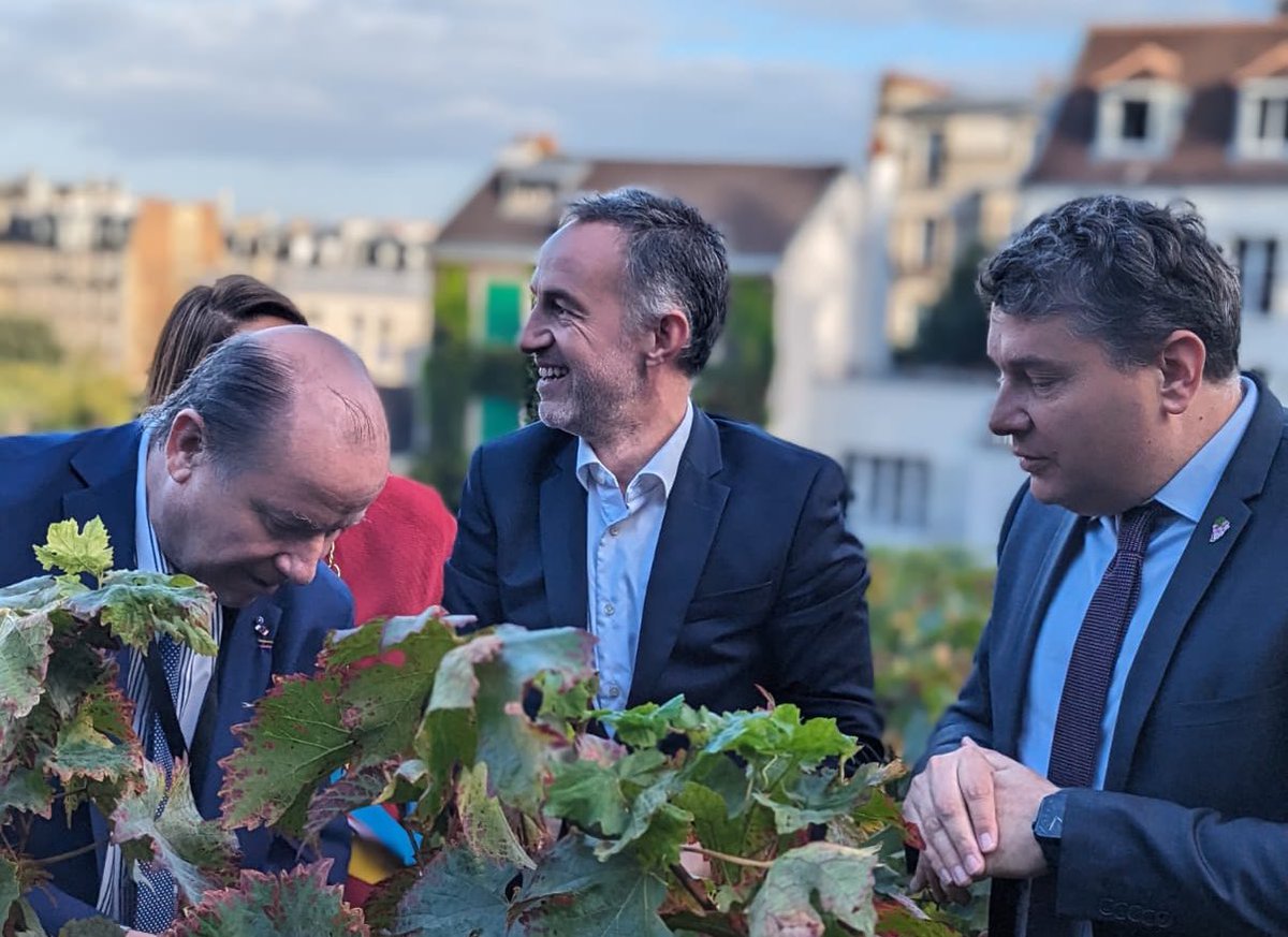 Paris célèbre les vendanges de Montmartre <a href="/FDVMontmartre/">Fête des Vendanges de Montmartre</a> tout ce week-end ! 🍇✂️

Merci à la République de Montmartre et  au Comité des fêtes et d’actions sociales de Montmartre d’animer une si belle tradition populaire.