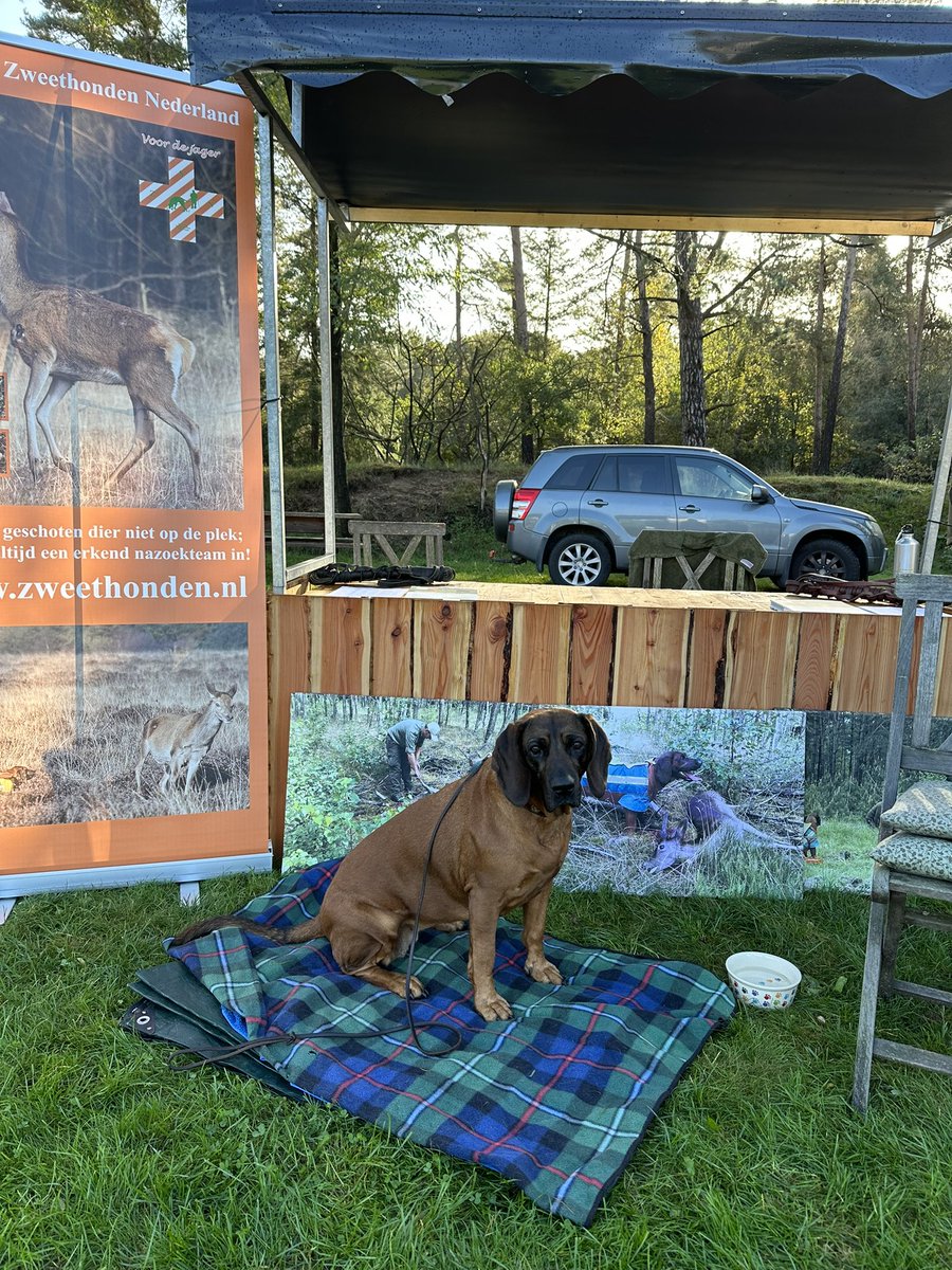 Prachtige dag breekt aan voor de Dag van de Jager