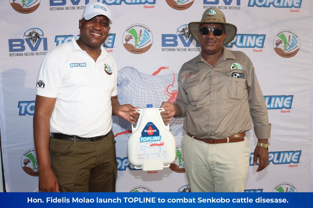 Minister of Agriculture Hon. Fidelis Molao has officially launched Topline PourOn Dip to combat  Senkobo cattle disease.

#botswanavaccineinstitute