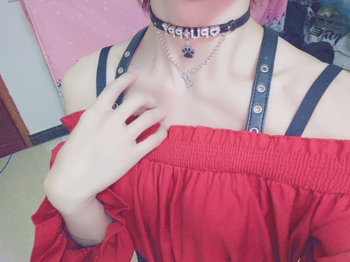 SSSCCCSSSF's tweet photo. #四爱 #伪娘 #puppy #小狗 #k9 https://t.co/TY5PlQyDod