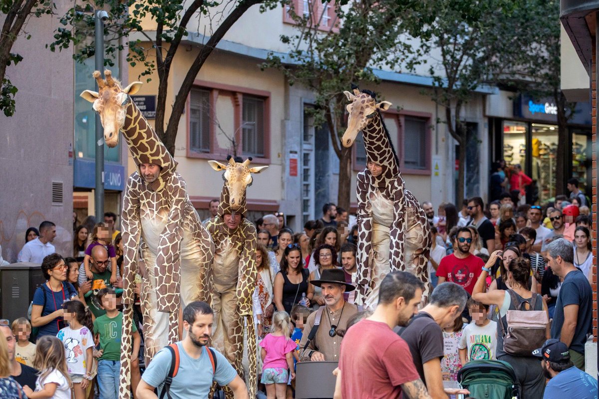 jordi_ballart's tweet image. 🦒3 girafes van ser les encarregades ahir d’inaugurar la 8a edició del @festivaldido, el festival de música i titelles de #Terrassa!
📍Avui el festival concentrarà la seva activitat al Parc de Vallparadís (zona Vela)!
Us animo a passar-hi! festivaldido.org