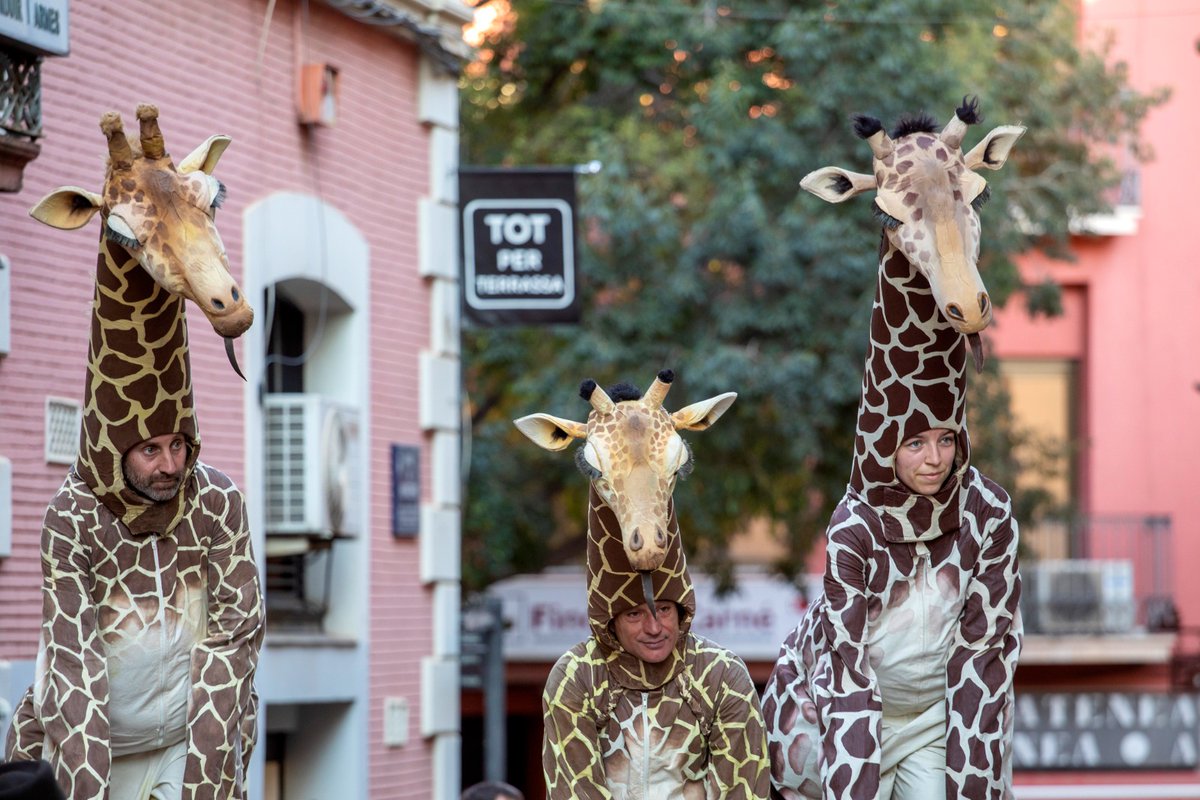 jordi_ballart's tweet image. 🦒3 girafes van ser les encarregades ahir d’inaugurar la 8a edició del @festivaldido, el festival de música i titelles de #Terrassa!
📍Avui el festival concentrarà la seva activitat al Parc de Vallparadís (zona Vela)!
Us animo a passar-hi! festivaldido.org
