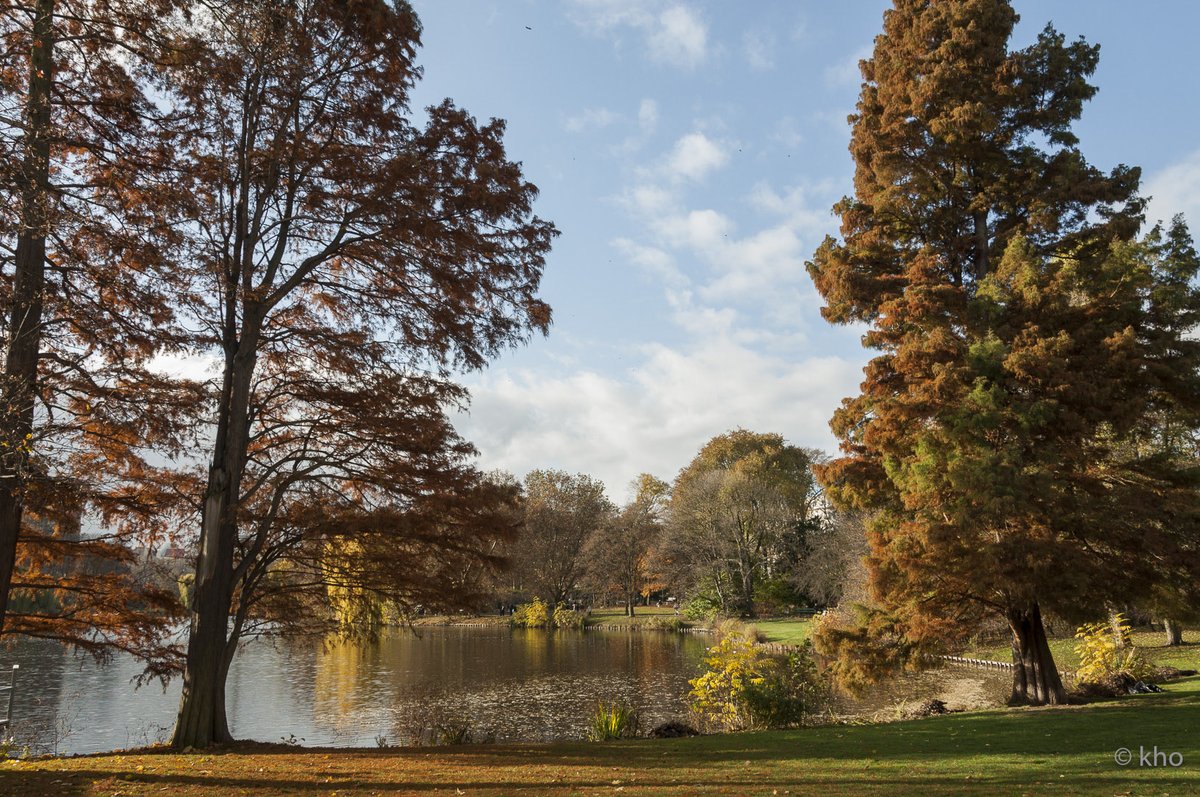 @FotoVorschlag 'Herbst' #FotoVorschlag #365Projekt #52Projekt