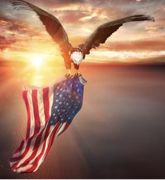 RingoStarrDrums's tweet photo. "Vote for Jim Jordan" #votejimjordan #jimjordan #speakerjordan #housespeaker #Stoprinos #congress #americafirst #trump #karilake #usa #Trump2024 https://t.co/2rDSLhh3lX