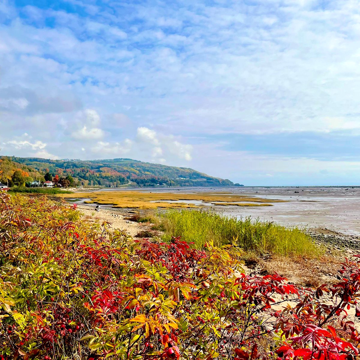 Jaragorna's tweet photo. Sur la route... de Québec...😍😍 https://t.co/RODpEK8BE4