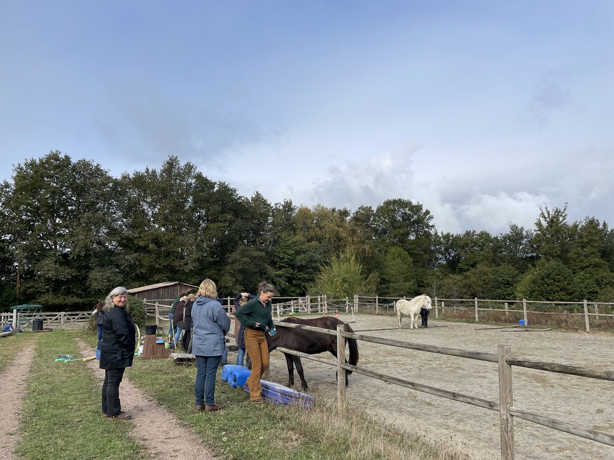 ytjepoppinga's tweet photo. Het is herfst geworden, maar na de buien vanmorgen blijft het prima buitenwerk weer! P vertelt over de kracht van coaching en over @intrinzen , waar Váfi meester in is, ook met passagier! Dat zien we buiten.
Vanmiddag Cathrine verder over opzetten eigen bedrijf online. #RLAV https://t.co/rij0l4gJyu
