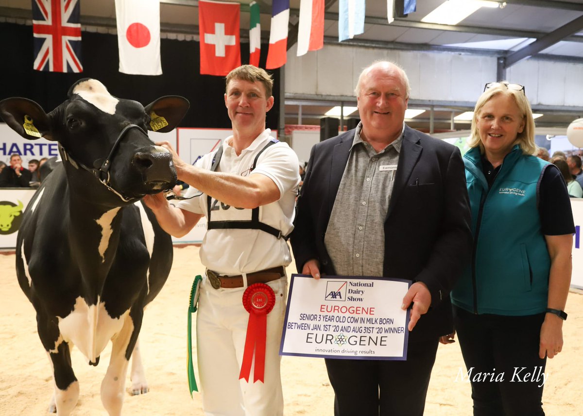 AXA National Dairy Show 

Class. 16 Senior 3 yr old cow in milk born between 1st Jan &amp; 31st Aug ‘20 Sponsored by Eurogene (3)

1st Hallow Diamondback Twizzle 3 
2nd Laurelelm Apple Brilliant 
3rd Rosstemple Beauty Queen RC