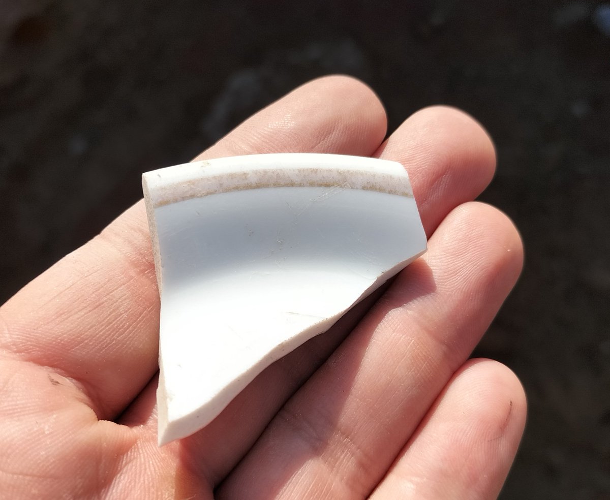 Guerra en la Universidad tweet media