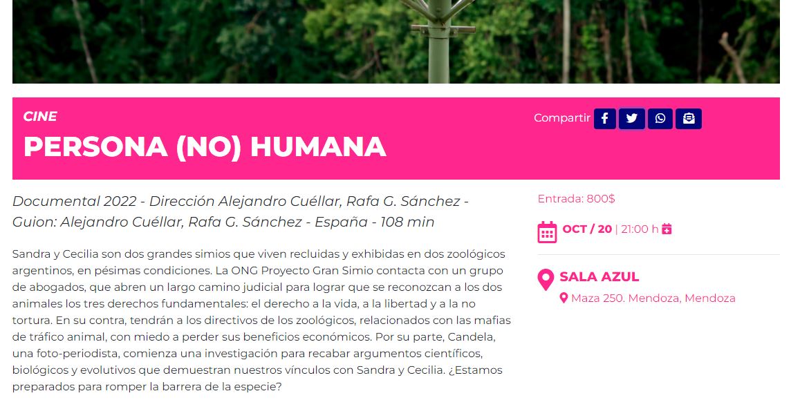 POR FIN LLEGÓ A MENDOZA EL DOCUMENTAL "PERSONA NO HUMANA" que cuenta la historia de la lucha por CECILIA Y SANDRA
Un honor para mí ser parte de los entrevistados en el documental, mi opinión respecto a chimpancé Cecilia, el ex zoológico,oso polar Arturo, etc 
En la @naveuncuyo