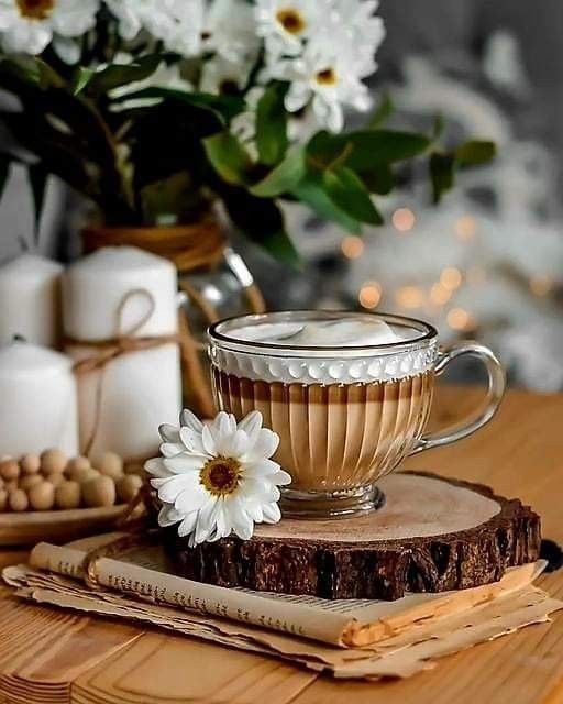 LalaDiturie's tweet photo. Vullnetin dhe premitimet e kuranit
Shkojne deri ne pafundesine e kohes
Te asaj kohes se breznive te shekujve dhe te dashurise si nje lule e bukur qe vetem cel nen bekimin e allahut
#dashuria e allahut dhe njerzve te allahut https://t.co/Mdbr4ocZvt