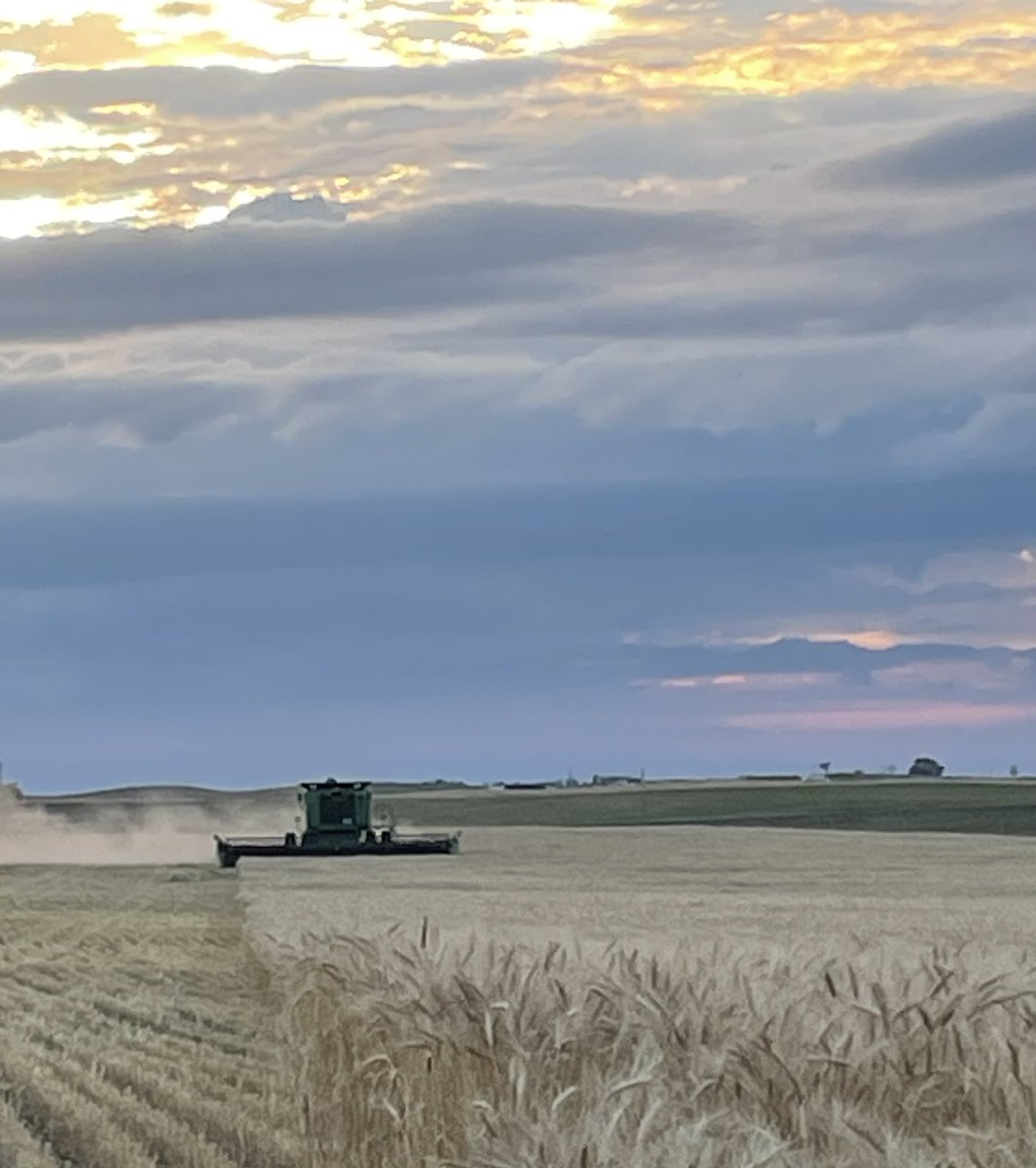 myrna_lees's tweet photo. @MBAgDays https://t.co/lDU7q3t9VP