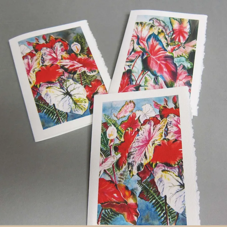 PamelaBaker67's tweet photo. https://t.co/1DaI1CTC1I @Rtobaison @WatercolorsNMore #CaladiumNoteCards #WatercolorArtPrints #bmecountdown https://t.co/KF6YTjPaJk