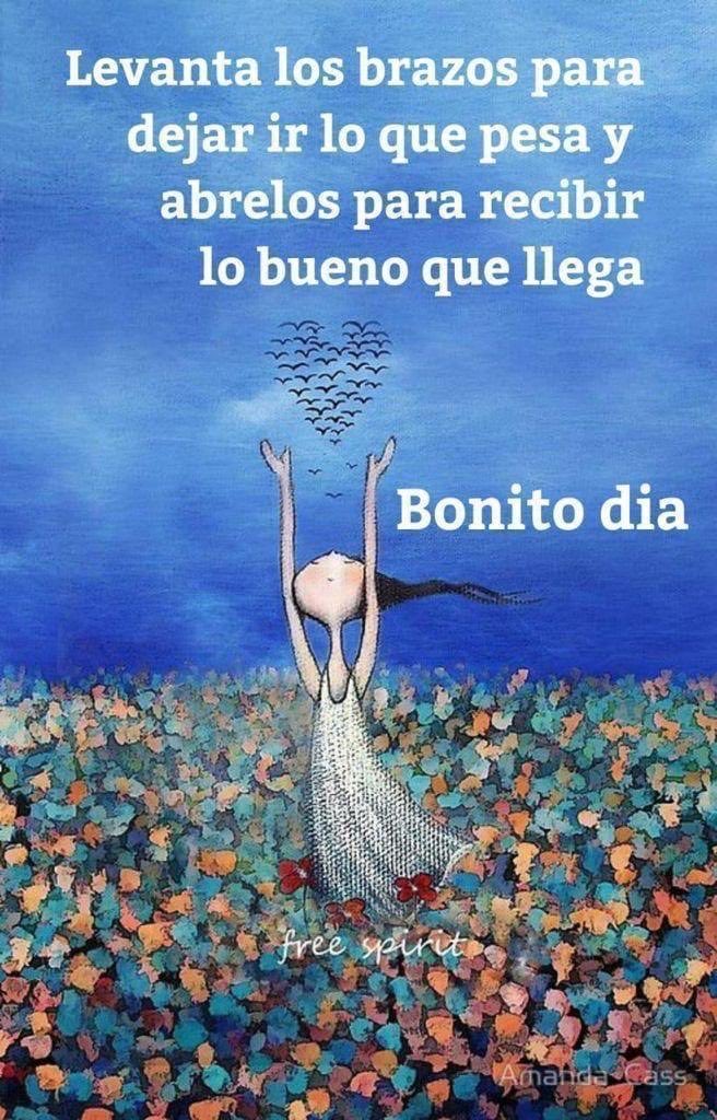 Carmen Andrade tweet media